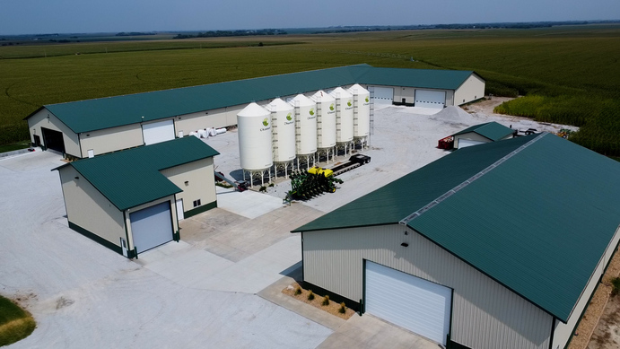 M1 Boeck Seeds  M1 Boeck Seeds